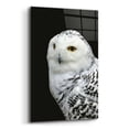 thumbnail image 2 of Epic Art 'Snowy Owl' by Epic Portfolio, Acrylic Glass Wall Art, 12"x16", 2 of 8