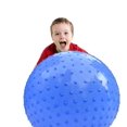 thumbnail image 1 of Penepico - Pelota de masaje sensorial grande (85 cm, 1,5 kg), color azul, 1 of 6