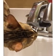 thumbnail image 3 of itouchless ez faucet pro automatic sensor faucet adapter for any sink faucet and cat fountain, pet water dispenser, 3 of 9