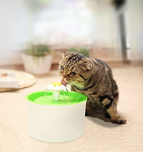 electric pet fountain