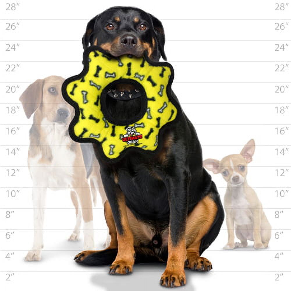 TUFFY® Ultimate Gear Ring Yellow Bone, 2-Pack, Durable Plush Squeaky Dog Toys