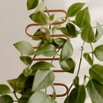 thumbnail image 3 of Plant Trellis Rustproof Multifunctional Metal Vine Growth Climbing Rack Garden Supplies, 3 of 8
