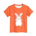 thumbnail image 4 of Manga Corta Crop Top para Niños Niños Pascua Impresa Gráfica Tee Cuello Redondo Casual Versátil 3-14 Años, 4 of 5