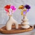 thumbnail image 5 of Uxcell 6 Pcs 24K Colorful Gold Rose, Artificial Roses Flowers Eternal Crystal Flower Gift for Mother's Day Thanksgiving Valentine's Day Anniversary Birthday Party, Rainbow White/Purple, 5 of 7