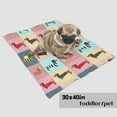 thumbnail image 4 of Flannel Fleece Bed Blanket Cute Dachshunds Throw Blanket Lightweight Cozy for Bedroom All Season Sofa Decor Gift 40x50, 4 of 6