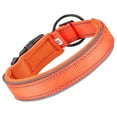 thumbnail image 1 of Collier pour Animaux 37-45cm Boucle Réglable Colliers Respirants Anti-Perte pour Jardin Extérieur Cour Marche Entraînement Orange, 1 of 9