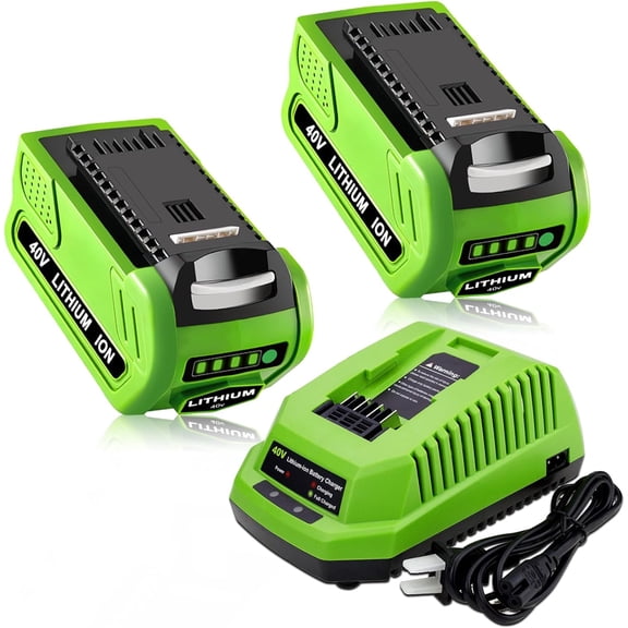 2Pack 6.0Ah 40 Volt Lithium 29462 29472 Battery and 29482 Charger Compatible with GreenWorks 40V GMAX Power Tools (Not for Gen 1)