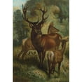 thumbnail image 3 of John George Wood 11x14 Black Modern Framed Museum Art Print Titled - Stag, or Red Deer. (1898), 3 of 5