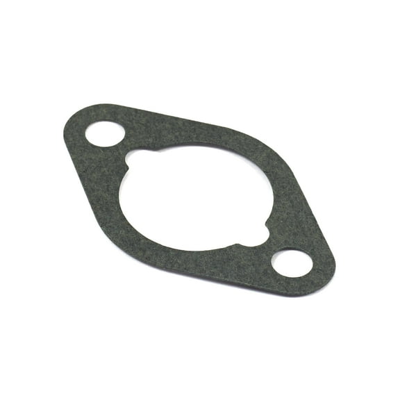 Briggs & Stratton OEM 710060 Gasket-Intake