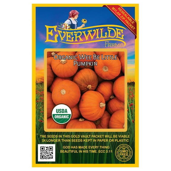 Everwilde Farms - 10 Organic Wee Be Little Pumpkin Seeds - Gold Vault Jumbo Bulk Seed Packet