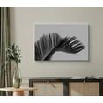 thumbnail image 2 of wall26 Canvas Print Wall Art Grayscale Coconut Palm Tree Leaf Floral Nature Photography Minimalism Tropical Scenic Relax/Calm Black and White for Living Room, Bedroom, Office - 24"x36", 2 of 5