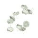 thumbnail image 5 of 10Pcs Pendientes de Corona Redondos Bisel Negro Configuración de La Base en Blanco Cabujón Resultados de Bricolaje Blanco plateado Macarena Pendientes de pendiente, 5 of 8