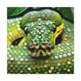 thumbnail image 1 of Green Python Pointillism - Canvas, 1 of 10