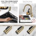 thumbnail image 3 of Stylish Modena 14 ⅛" Brushed Gold Pull-Down Dual Function Water Filter Faucet K-131GR, 3 of 15