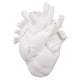 thumbnail image 5 of Jarrón en Forma de Corazón Maceta Decorativa Moderna de Resina Exquisita para el Hogar Oficina Dormitorio Boda Jarrón de Corazón Anatómico Blanco Maceta de Resina ANGGREK  Otros, 5 of 8