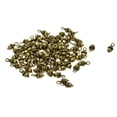 thumbnail image 3 of 50 Piezas Antiguo 3D Pineal Fruta Bellota Tuerca Encanto DIY Joyería Verde Bronce Sunnimix colgantes de encantos de cono de pino, 3 of 8