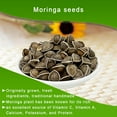 thumbnail image 3 of Premium Moringa Seed, Moringa Oleifera, Malunggay, Drumstick Tree Seeds from India Planting 100% Natural, Superfood, Nutritional, Rich in Vitamins Edible Seeds 8OZ/Bag, 3 of 6