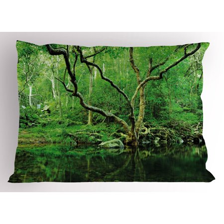 - Green Pillow Sham Forest Moss Leaves Nature Themed Isolated Jungle Image Photo Print, Decorative Standard King Size Printed Pillowcase, 36 X 20 Inches, Dark Brown and Forest Green, by Ambesonne