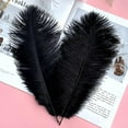 thumbnail image 6 of 20 pcs Natural Black Ostrich Feathers Plumes 12-14 inch(30-35 cm) Bulk for and DIY Clothes Decoration, Gatsby Decorations, Wedding Party Centerpieces, 6 of 6