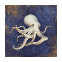 Trademark Fine Art 'Treasures from the Sea Indigo V' Canvas Art by Danhui Nai