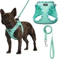 thumbnail image 1 of Arnés para perros AMTOR Small con correa para entrenamiento y caminata, 1 of 3