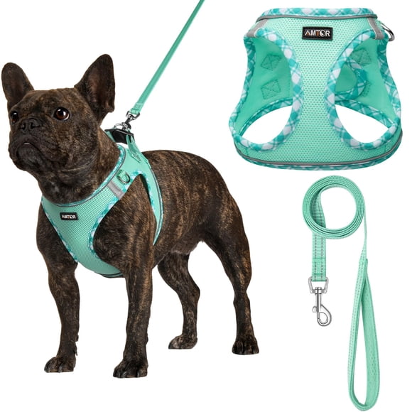 Arnés para perros AMTOR Small con correa para entrenamiento y caminata