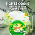 thumbnail image 5 of Gain Flings 3-in-1 Oxi Boost and Febreze Laundry Detergent Pacs, Original Scent, 14 Count, 5 of 15