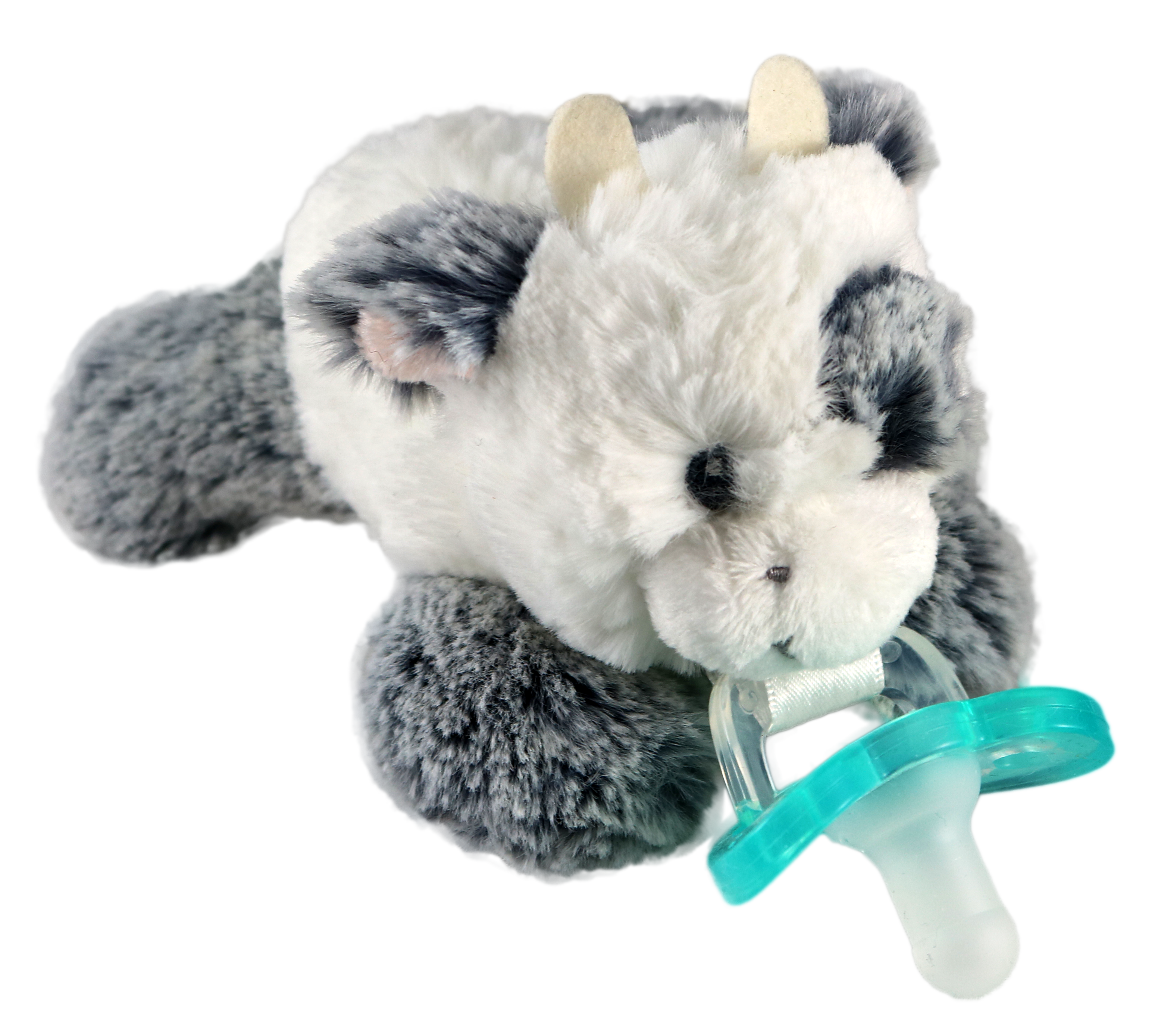 jollypop pacifier walmart