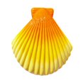 thumbnail image 1 of Shell/Conch Shaped Towel Clamps Windproof ABS Plastic Clip Practical Leisures Chair Towel Rack Beach Towel Essential, 1 of 8