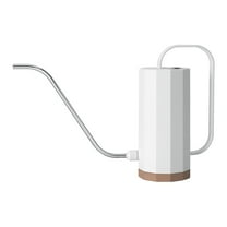 Gardening Stainless Steel Watering Can, Long Curved Spout, Ergonomic Handle, for Flower Pots & Greenery, Accents