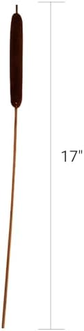 40 Pcs Dried Natural Cattails Jumbo Dried Flowers for Floral Arrangement Wedding Home Decoration$$Home Decor, Kitchen, & Other
