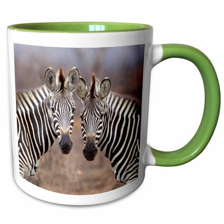 

3dRose Plain Zebras Kruger National Park South Africa. - Two Tone Green Mug 11-ounce