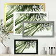 thumbnail image 4 of Designart 'Ancient Dark Green Bamboo' Traditional Framed Art Print, 4 of 4