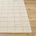 thumbnail image 2 of BoutiqueRugs Tieve Contemporary Area Rug - Champagne - 2' x 3', 2 of 6
