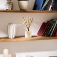 thumbnail image 4 of COCORRÍNA Moroccan Amber Reed Diffuser Set, 4 of 5