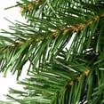 thumbnail image 3 of National Tree Company Artificial Christmas Garland, Green, Kincaid Spruce, 9 Feet, 3 of 4