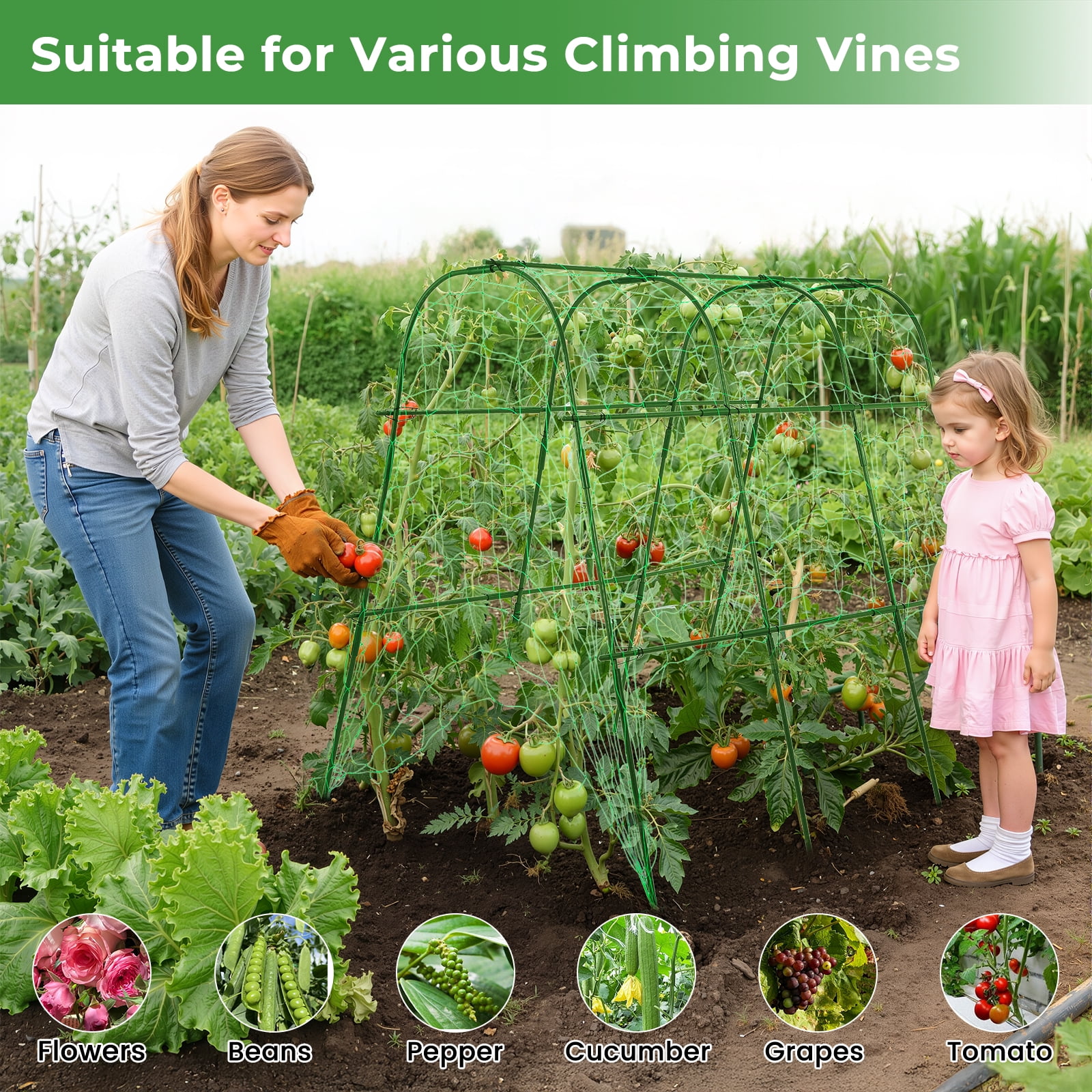 BEAMNOVA Garden Arch Trellis for Climbing Plants, 48"x63" Plants Support Trellis with Netting Kits for Outdoor Vegetable Fruits Flowers, Vine, Grape, Cucumber Climbing