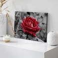 thumbnail image 4 of HFDF Canvas Prt Wall Art Red Rose Close Up with Water Droplets Floral Botanical Photography Modern Art Rustic Scenic Relax/Calm Multicolor Dark for Livg Room, Bedroom, Office - 16x12inch Framed, 4 of 6