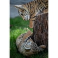 thumbnail image 2 of Playful Tiger Cubs - Ultra Realistic Garden Statue, 2 of 4