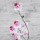 thumbnail image 5 of 100 pinzas para orquídeas, pinzas de soporte para plantas de orquídeas, pinzas para enredaderas de flores de jardín para sujetar tallos y enredaderas., 5 of 5