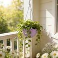 thumbnail image 7 of Yhmxh Self-Watering Hanging Planters, Indoor Outdoor Garden Flower Plants Pot Container with Drainer and Hanging Chain, Garden Hanging Planters, Round Hanging Basket Pot, 7 of 7