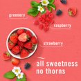 View all media