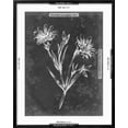 thumbnail image 5 of Art.com Slate Floral IV Art Print by Ethan Harper, Black Frame Wall Art, 23" x 29", 5 of 5
