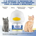thumbnail image 2 of (5 Pack)Oimmal Multi-Cat Calming Pheromone Diffuser for House-Cats, Cat Pheromone Diffuser Multi Pack, 150 Day Starter Kit (240 mL), 2in1 Plug-In Diffuser & 8fl.oz,for Sale at Wholesale Price, 2 of 9
