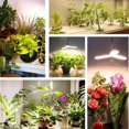 thumbnail image 5 of Plantación de interiores Iluminación de plantas suculentas de flores y verduras Luz de jardinería Luz de relleno de macetero Luz de planta plegable de 3 hojas (36W) oso de fresa Electrónica, 5 of 5