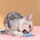 thumbnail image 2 of Juguete para Gatos Pelota de para Gatos Juguete para Gatos Juguete para Gatos de Interior los Dientes del Están Limpios, 2 of 6