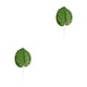 thumbnail image 2 of Monstrate 20 bolsas de hermosos arreglos florales verdes con hojas de sandía simuladas, sandía grande Canna Indica simulada fácil y Sandia Grande 2Conjunto, 2 of 6