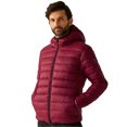 thumbnail image 4 of Regatta Mens Marizion Baffled Hooded Padded Jacket, 4 of 5