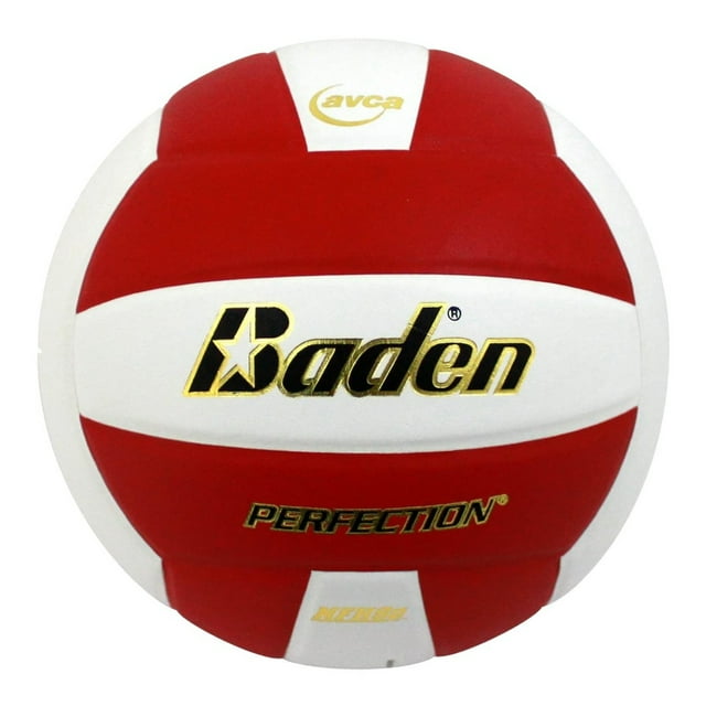 Baden PERFECTION Indoor Leather Volleyball - Official NFHS Approved Game Ball