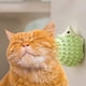 thumbnail image 5 of Bolas de hierba gatera para la dentición de erizos, juguetes para gatos, juguetes de autoayuda, 5 of 5